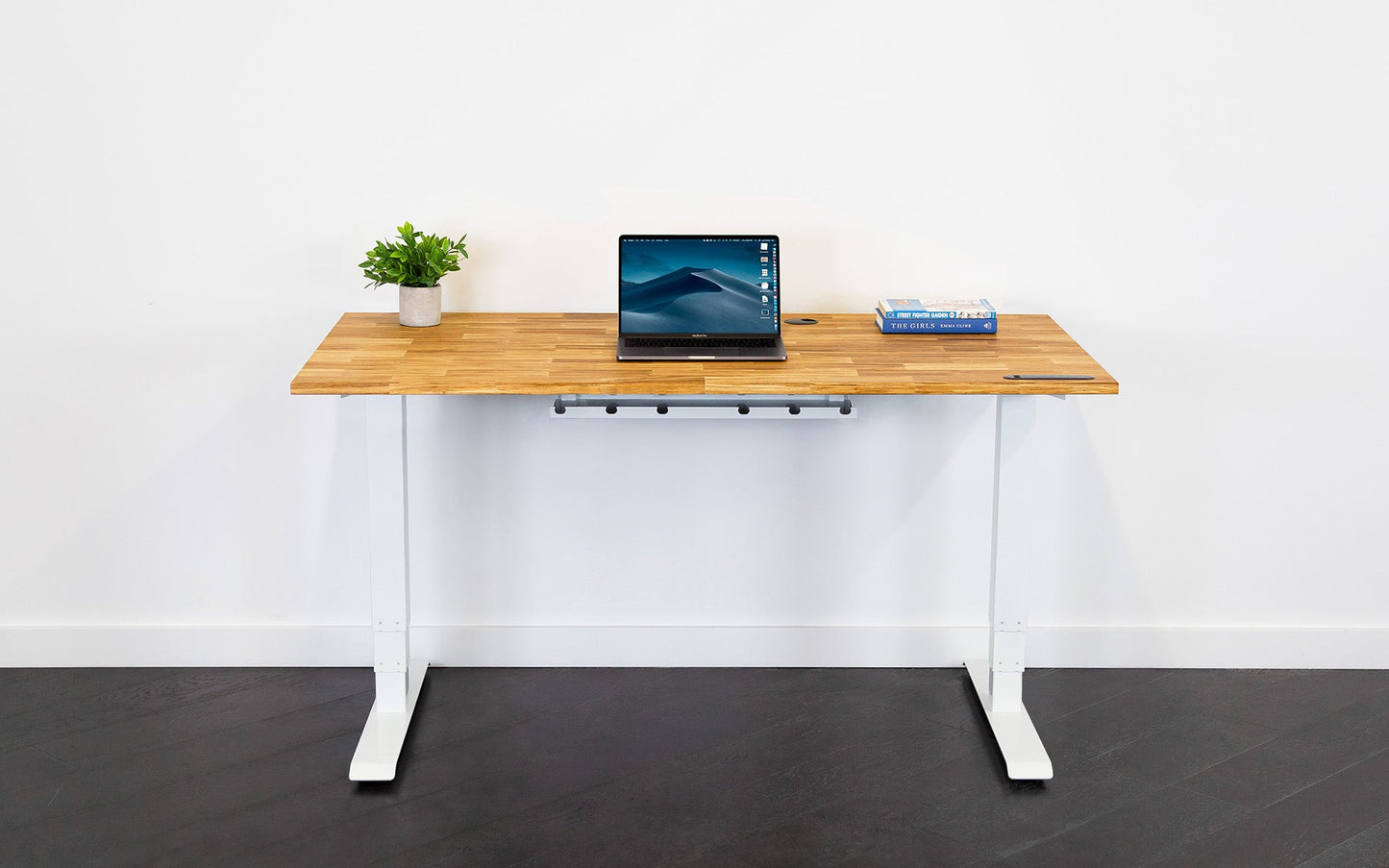 TerraDesk | Eco-Friendly Height-Adjustable Electric Standing Desk by EFFYDESK