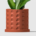 Tear Drop Paragon Planter Pot with Drip Tray and Drainage by Rosebud HomeGoods