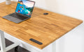 TerraDesk | Eco-Friendly Height-Adjustable Electric Standing Desk by EFFYDESK