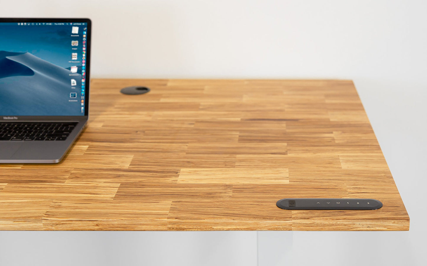 TerraDesk | Eco-Friendly Height-Adjustable Electric Standing Desk by EFFYDESK