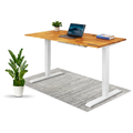 TerraDesk | Eco-Friendly Height-Adjustable Electric Standing Desk by EFFYDESK