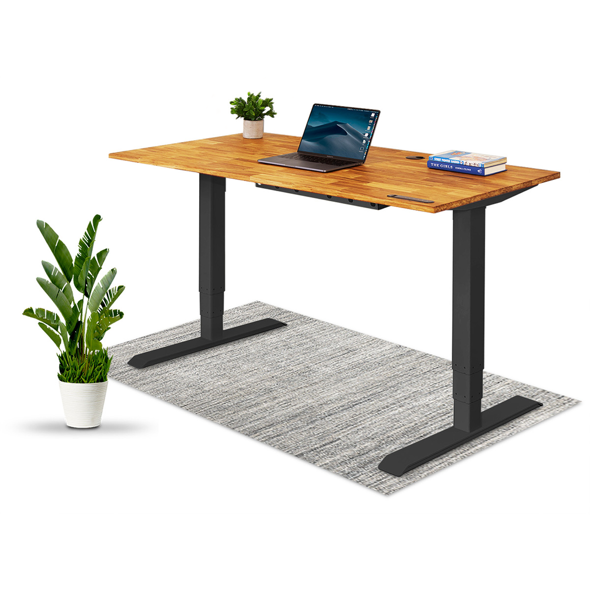 TerraDesk | Eco-Friendly Height-Adjustable Electric Standing Desk by EFFYDESK