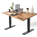 TerraDesk | Eco-Friendly Height-Adjustable Electric Standing Desk by EFFYDESK