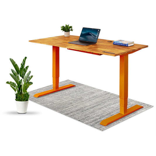 TerraDesk | Eco-Friendly Height-Adjustable Electric Standing Desk by EFFYDESK