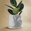 The Arezzo Plant Pot by Rosebud HomeGoods