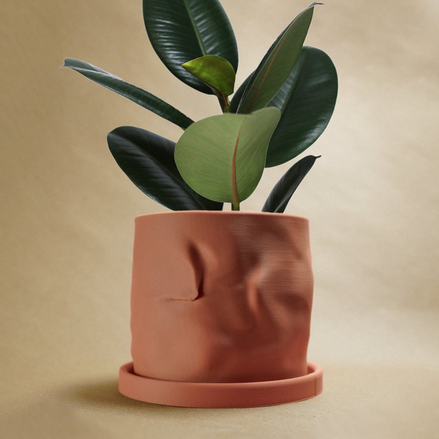 The Arezzo Plant Pot by Rosebud HomeGoods