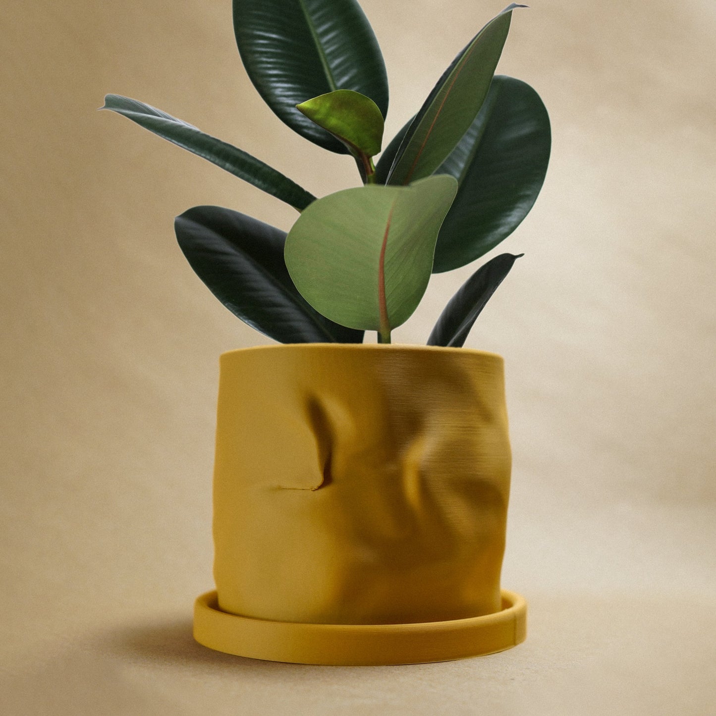 The Arezzo Plant Pot by Rosebud HomeGoods