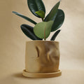 The Arezzo Plant Pot by Rosebud HomeGoods