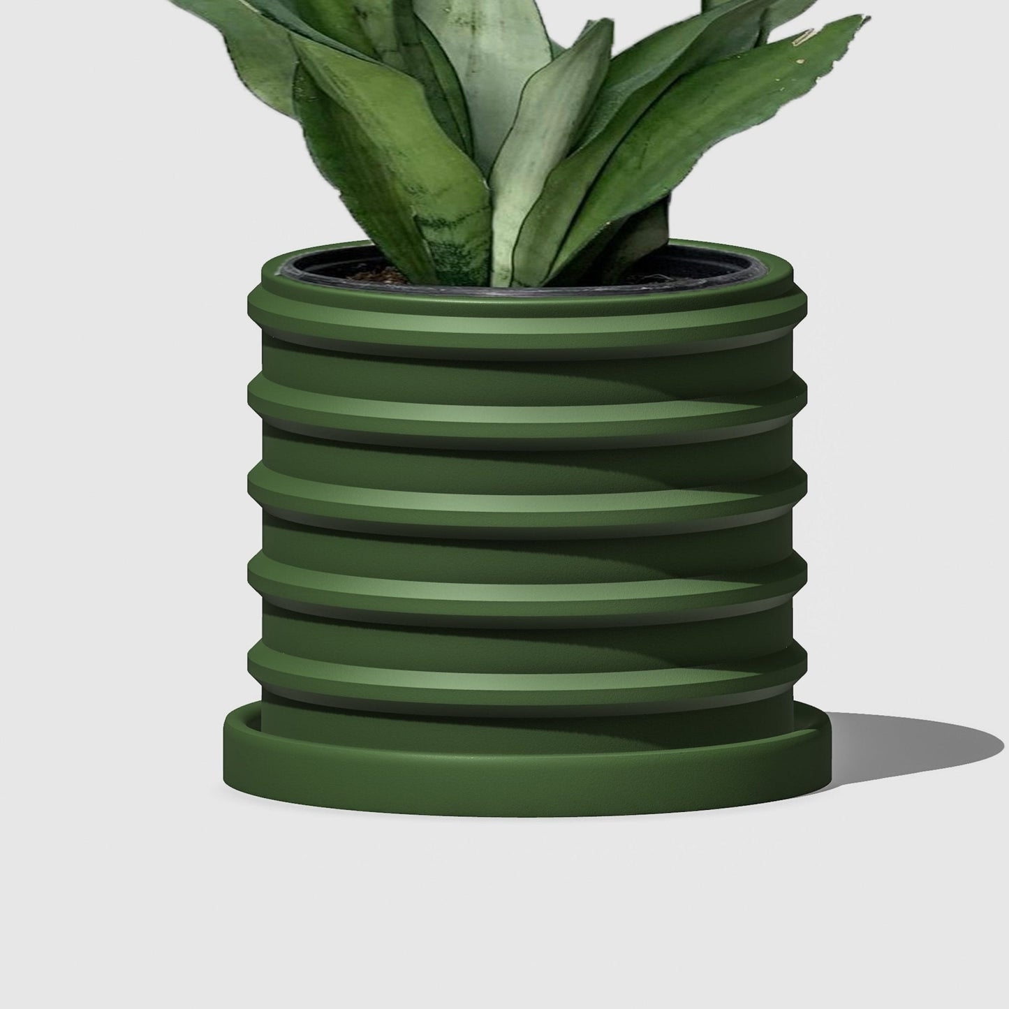 The Bubble Crest Planter by Rosebud HomeGoods