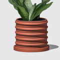 The Bubble Crest Planter by Rosebud HomeGoods