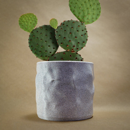 The Konya Planter Pot by Rosebud HomeGoods