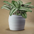 The Vintage Siena Planter by Rosebud HomeGoods