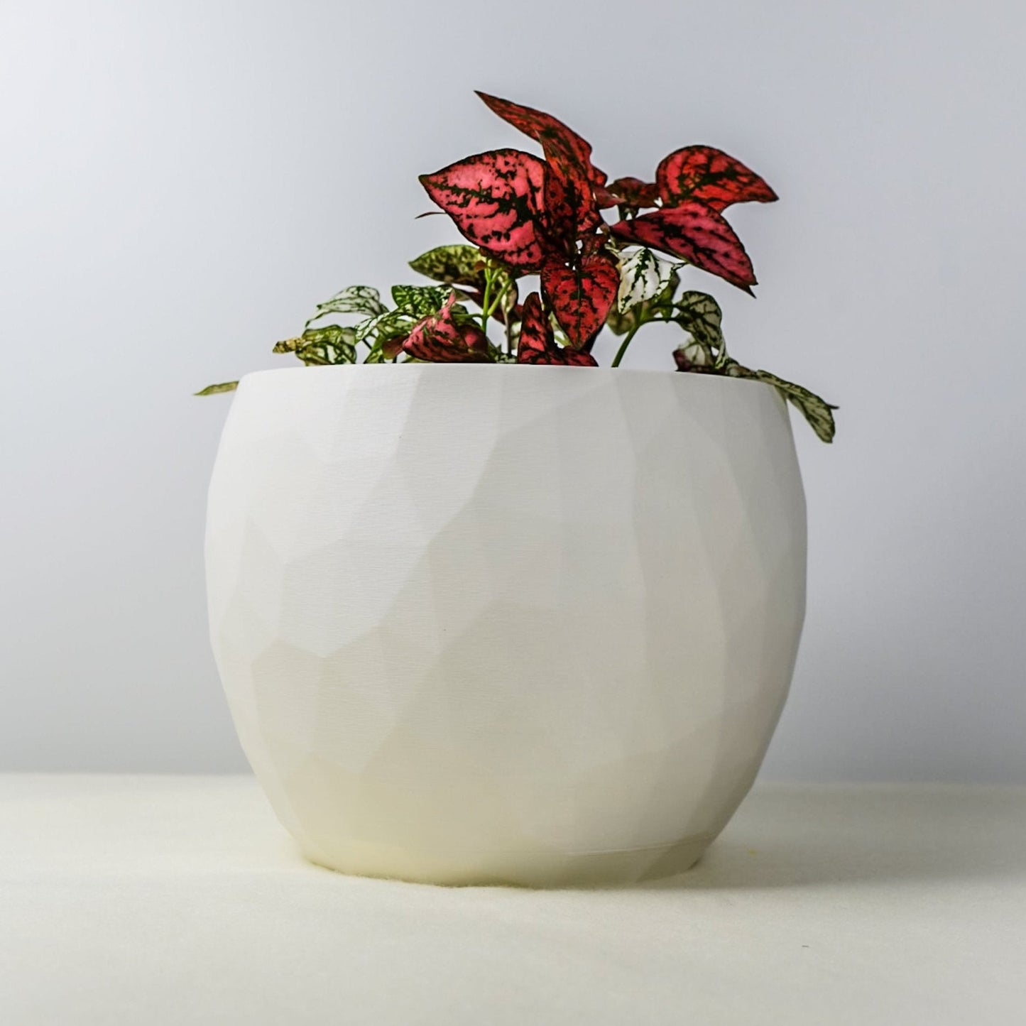 The Voronoi Planter by Rosebud HomeGoods